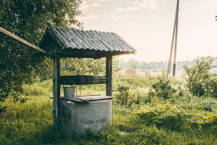 Pozo rústico en campo al amanecer simbolizando secretos desquiciados y deprimentes sobre familias ocultos en la naturaleza.