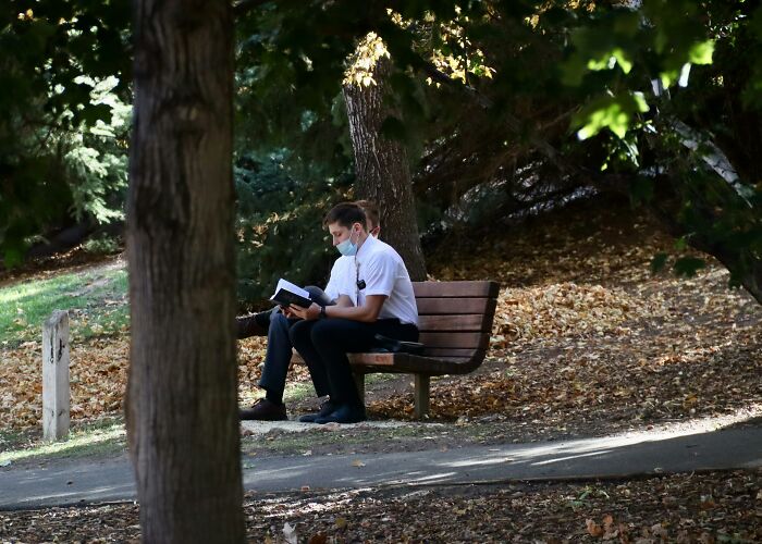 Dos personas sentadas en un banco de parque leyendo, mostrando concentración e ignorando su intuición en un entorno natural.