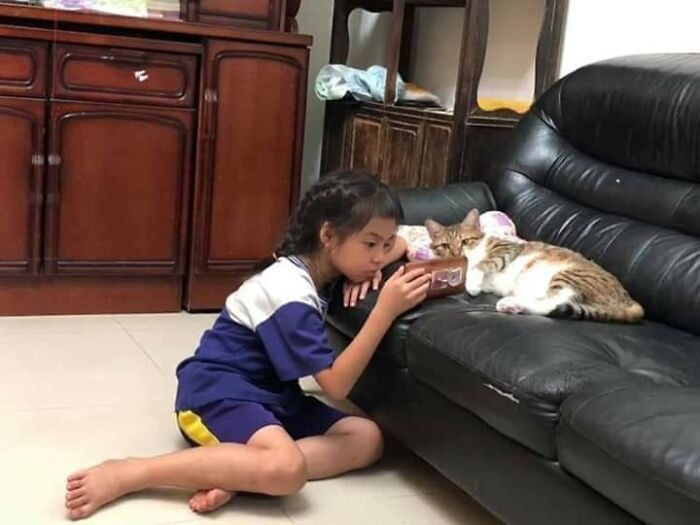 Niña mostrando un teléfono móvil a dos gatos acostados en un sofá negro, momentos divertidos con gatos en casa.