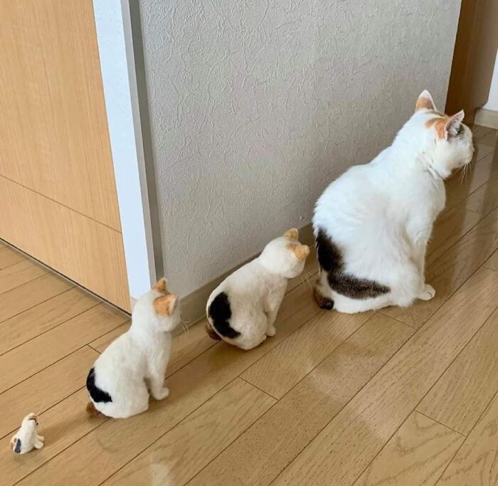 Gato real sentado junto a tres réplicas pequeñas en fila sobre piso de madera, momento divertido con gatos.