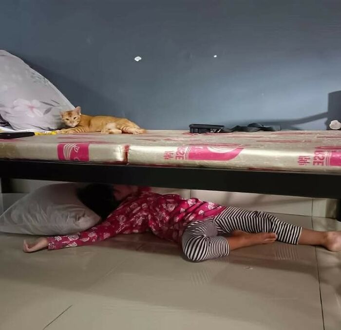 Gato acostado en cama mientras un niño duerme divertido debajo, mostrando momentos divertidos con gatos en casa.