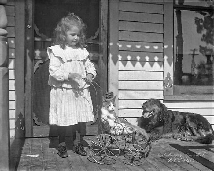 Niña con vestido antiguo jugando con un carrito y un gato, mientras un perro los observa en foto histórica fascinante.