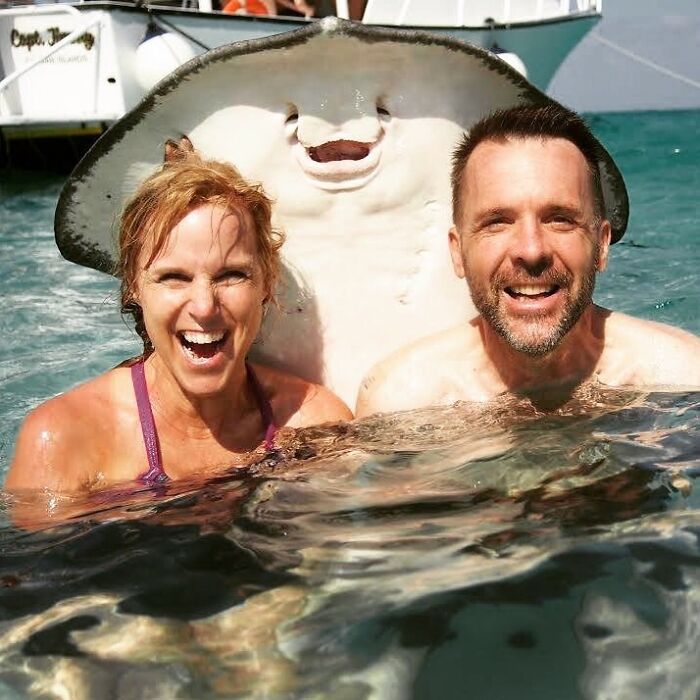 Pareja sonriente en el agua con una manta marina divertida durante vacaciones de verano junto a un barco.