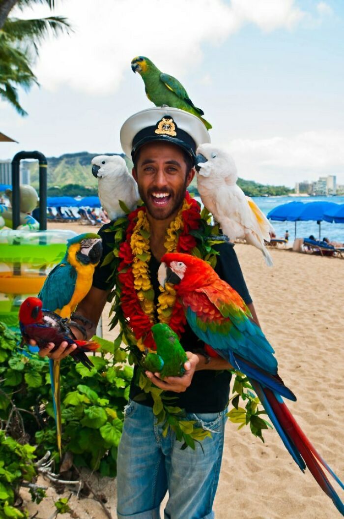 Hombre feliz en la playa con varias aves exóticas sobre su cuerpo y cabeza en fotos divertidas de vacaciones de verano.