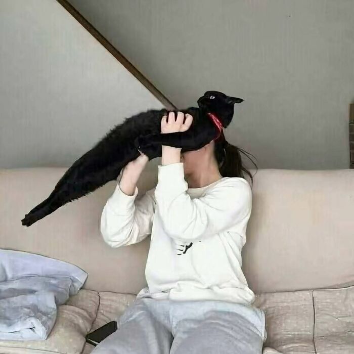 Mujer sostiene a gato negro estirado mostrando comportamiento divertido y raro en el hogar. Fotos divertidas de gatos.