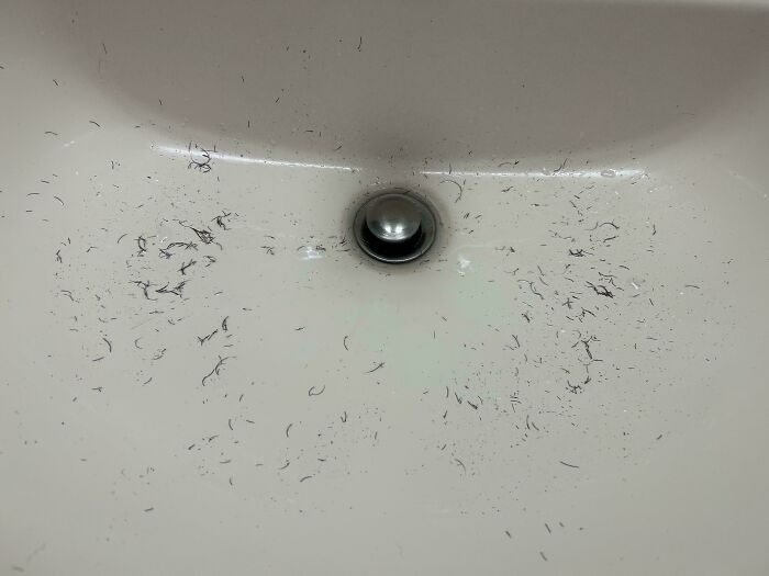 Lavabo blanco con restos de cabello cortado y una rejilla metálica circular en el centro, mostrando desorden y suciedad.