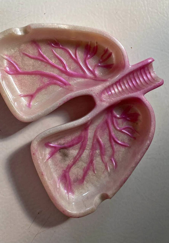Plato plástico rosa con forma de pulmones y ramificaciones, ejemplo de habilidades para hacer ideas malas realidad.