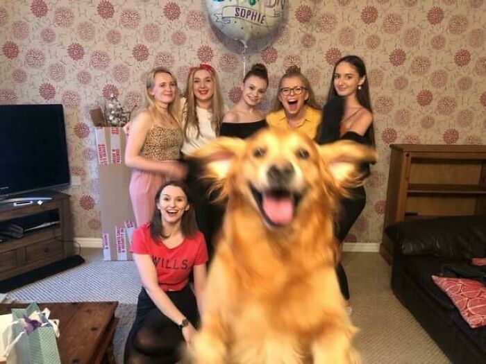 Perro divertido arruinando la foto perfecta con varias personas sonriendo detrás, momento gracioso de mascotas robando protagonismo.