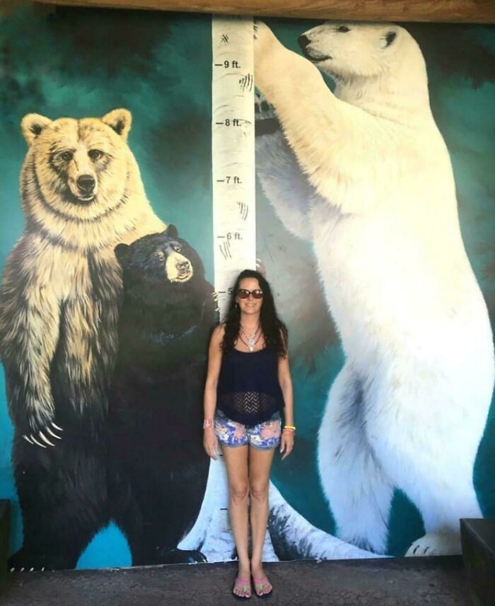 Mujer frente a mural con comparaciones de osos mostrando la diversidad inesperada de la vida en tamaño y especie.