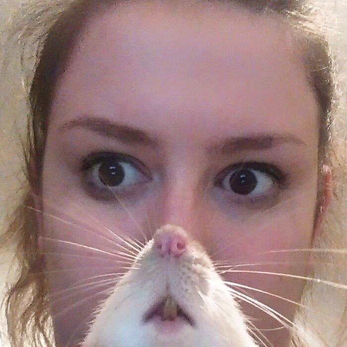 Mujer sorprendida con mascota que arruinó el momento perfecto y robó toda la atención en una foto divertida.