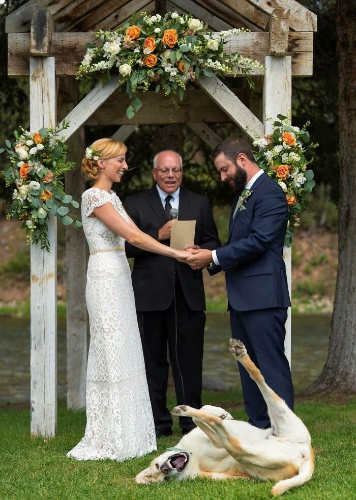 Novios en boda al aire libre con perro divertido arruinando la foto perfecta y robando el protagonismo.