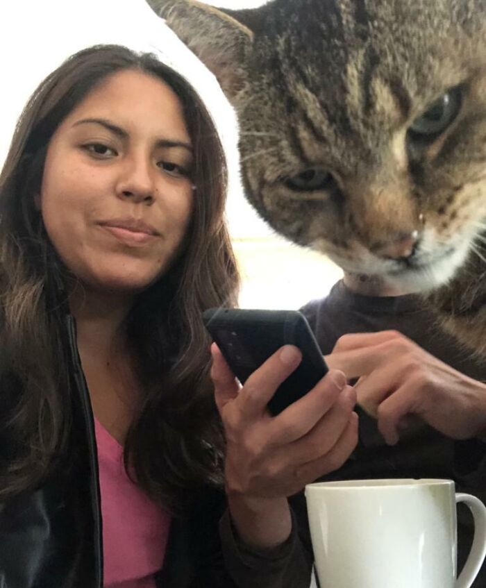 Mujer y gato arruinan la foto perfecta juntos, momento divertido de mascotas que roban el protagonismo en la imagen.