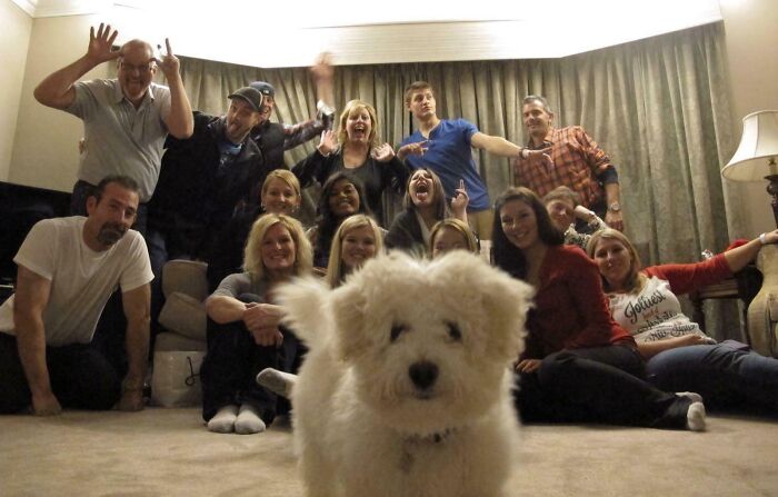 Perro adorable arruinando una foto grupal perfecta, robando toda la atención y protagonismo a las personas.