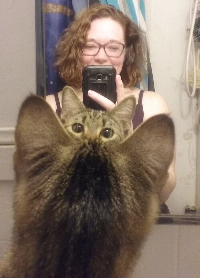 Gato arruinando la foto perfecta frente al espejo mientras su dueña sonríe con el móvil en mano, momento divertido de mascotas.