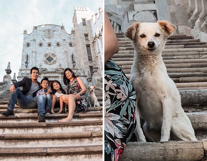 Familia posando en escaleras históricas mientras su perro roba la atención en una divertida escena de mascotas arruinando la foto perfecta.