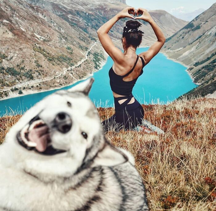 Perro interrumpe selfie en la montaña mientras mujer hace corazón con manos en paisaje natural divertido.