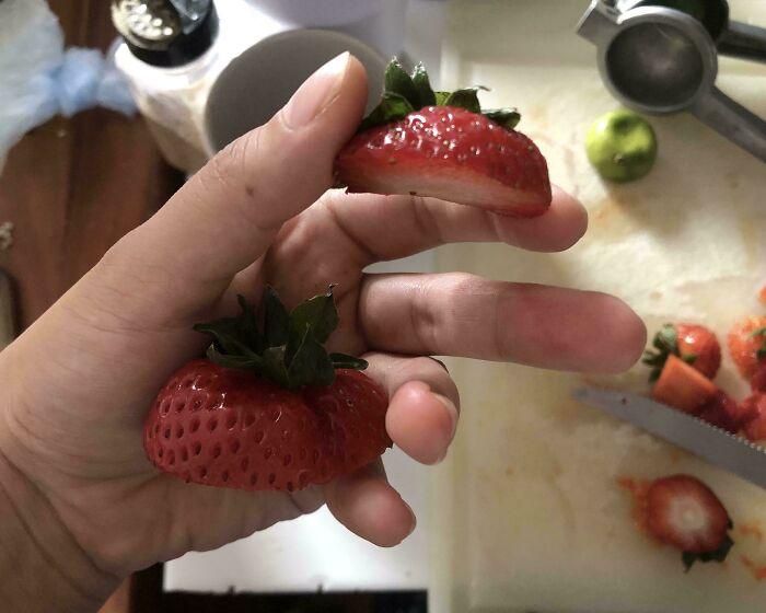 Mano sosteniendo fresas cortadas, mostrando una actitud típica de un hermano con derecho, concepto de hermanos con privilegios. Mano sosteniendo fresas cortadas, mostrando una actitud típica de un hermano con derecho, concepto de hermanos con privilegios.