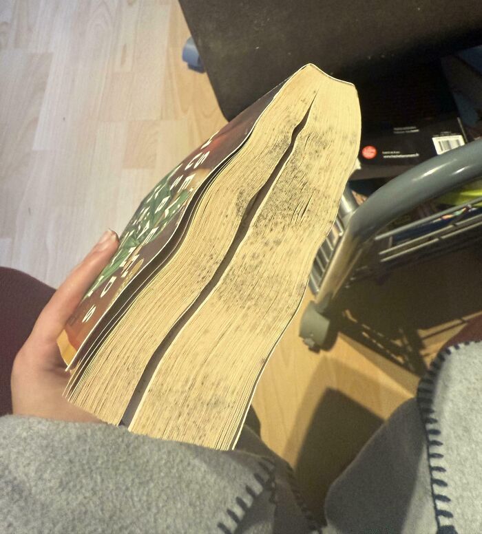 Libro con páginas arrugadas y daño visible, mostrando el desgaste típico causado por un hermano con actitud de derecho entitlment sibling. Libro con páginas arrugadas y daño visible, mostrando el desgaste típico causado por un hermano con actitud de derecho entitlment sibling.