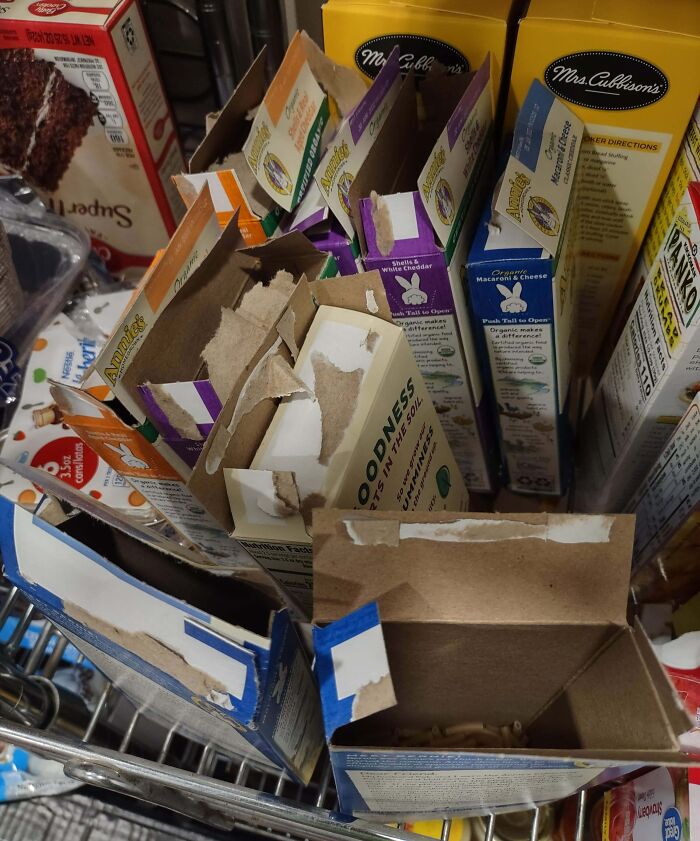 Cajas vacías y abiertas de comida en despensa mostrando un claro ejemplo de comportamiento de un hermano con derecho. Cajas vacías y abiertas de comida en despensa mostrando un claro ejemplo de comportamiento de un hermano con derecho.