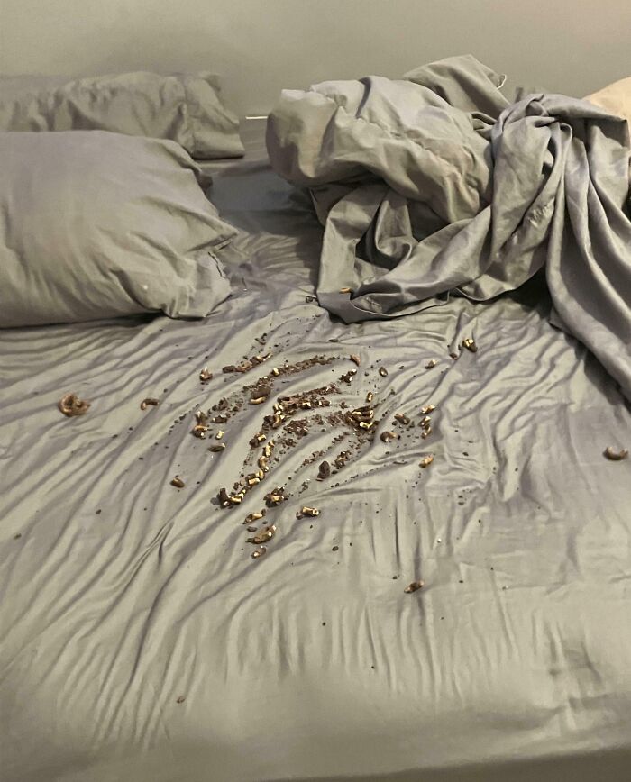 Cama con sábanas arrugadas y restos de comida, muestra típica de tener un hermano con actitud de derecho. Cama con sábanas arrugadas y restos de comida, muestra típica de tener un hermano con actitud de derecho.