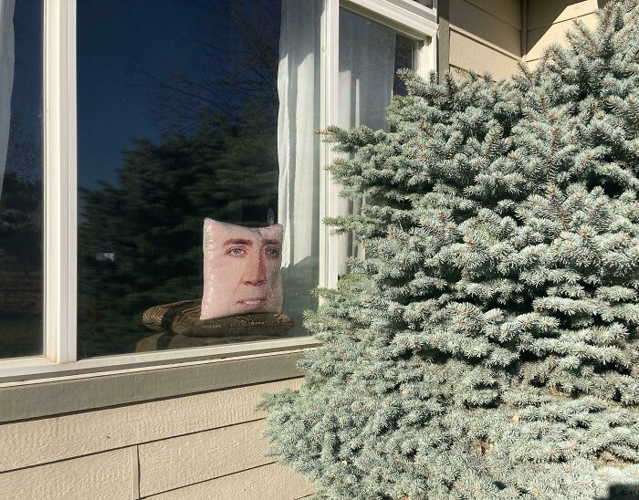 Cojín con rostro humano en ventana, reflejando humor ingenioso y creatividad en un ambiente doméstico soleado y natural.