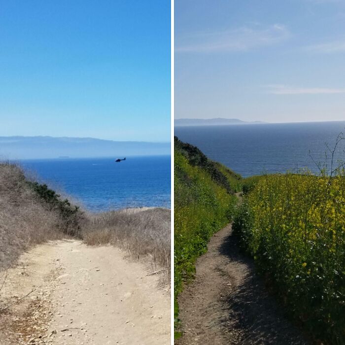 Camino costero con diferente vegetación mostrando comparaciones interesantes de la diversidad inesperada de la vida.