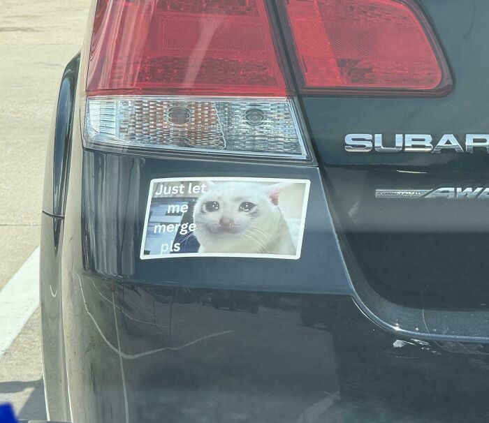 Pegatina con humor ingenioso de un gato triste en la parte trasera de un coche Subaru oscuro.