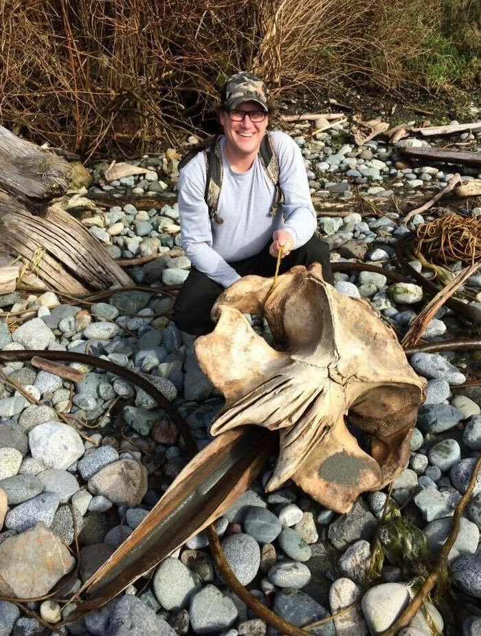 Hombre sonriente con gorra sostiene un enorme cráneo en la playa entre piedras y ramas, hallazgo inesperado en la playa.