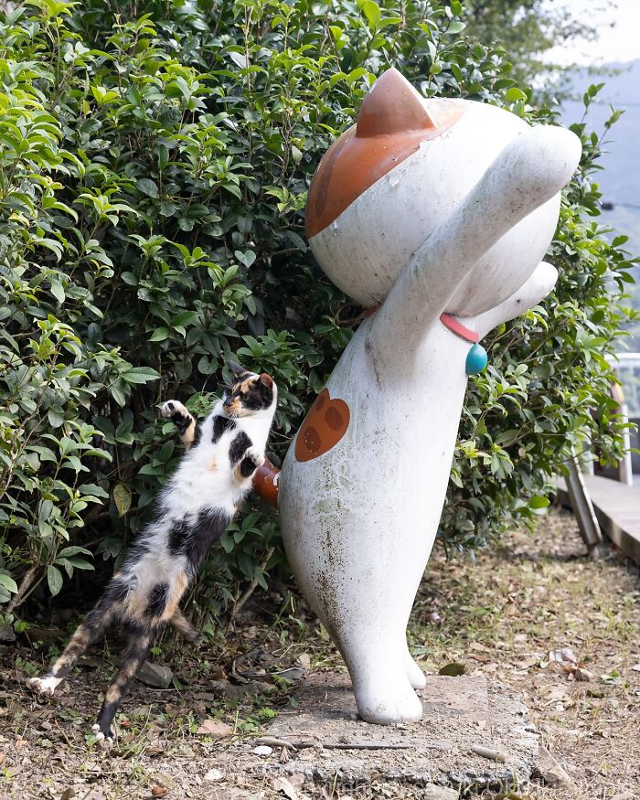 Gato callejero de Tokio saltando junto a estatua gigante de gato en zona con vegetación y suelo terroso.