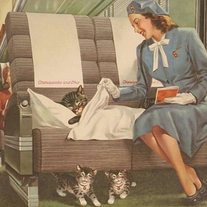Mujer con uniforme cuidando a gatos adorables en asiento de tren vintage, mostrando imágenes de gatos protagonistas históricas.