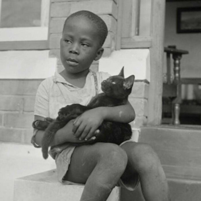 Niño sosteniendo un gato negro histórico en blanco y negro mostrando imágenes de gatos adorables a través del tiempo.