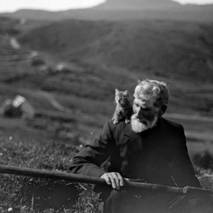 Hombre mayor con gato en el hombro en paisaje rural, imagen adorable de gatos mostrando su protagonismo histórico.