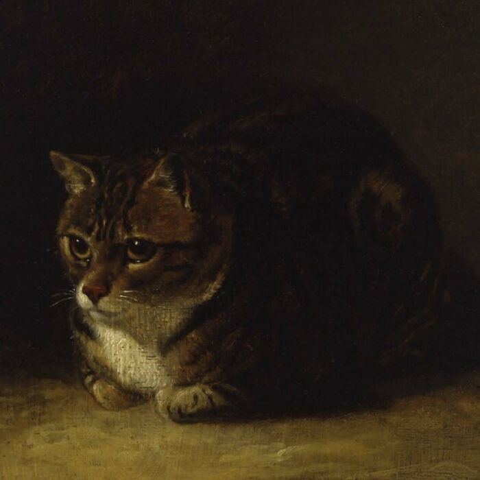 Gato pintado en estilo clásico mostrando la esencia de imágenes de gatos a través de la historia.