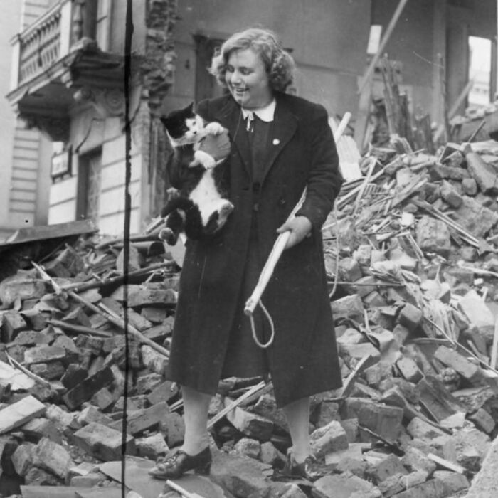 Mujer sonriente sostiene un gato entre escombros históricos, imagen adorable de gatos protagonistas en la historia.
