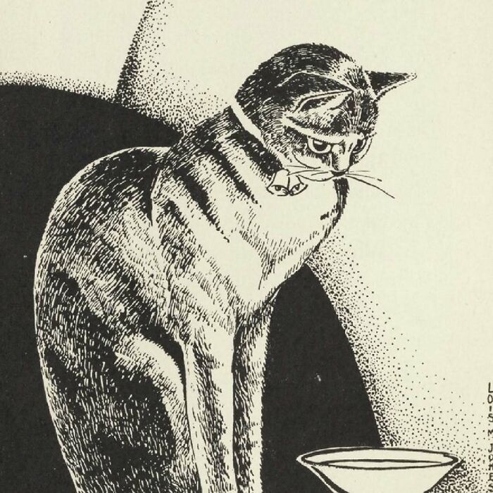 Gato con collar observando un recipiente, ilustración vintage que muestra imágenes de gatos adorables a lo largo de la historia.