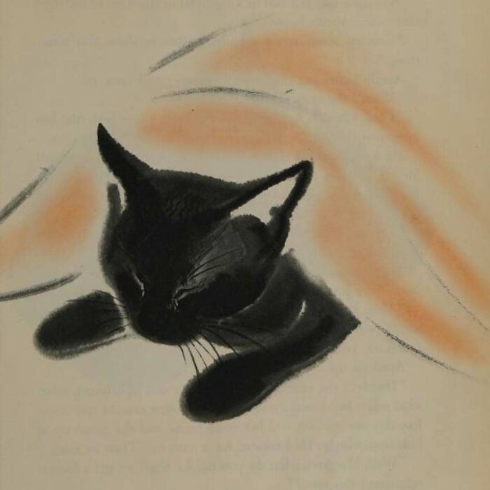 Gato negro representado en dibujo histórico con trazos suaves, destacando imágenes de gatos a través del tiempo.