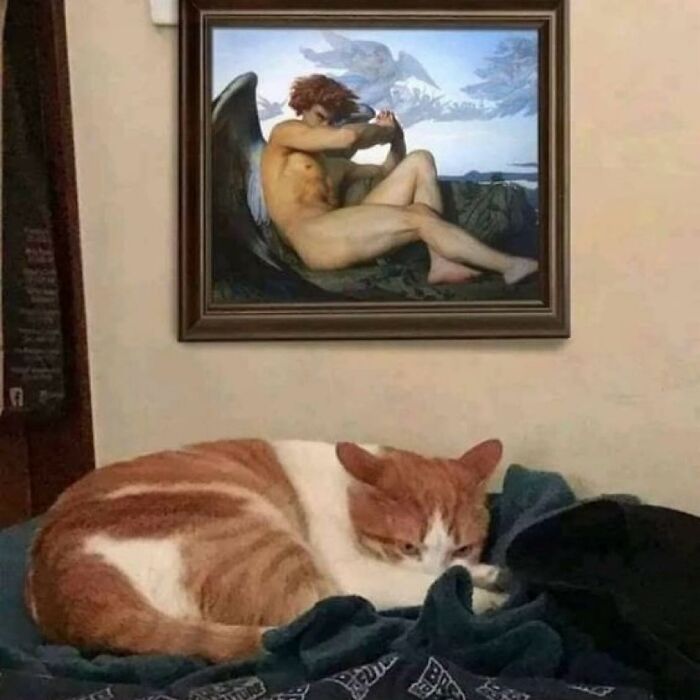 Gato naranja descansando sobre ropa, con cuadro de ángel pensativo en la pared, imagen divertida de gatos raros.