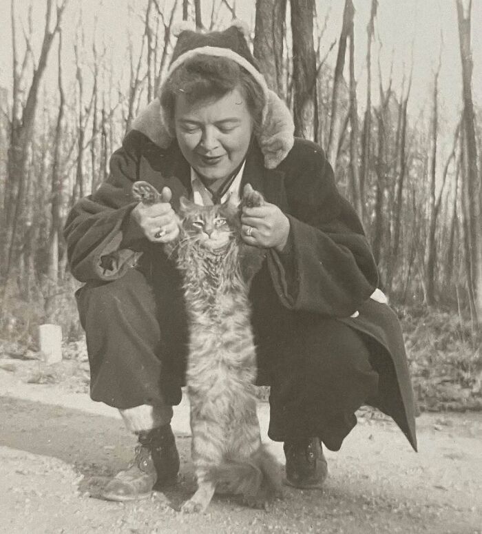 Mujer histórica jugando con gato adorable, mostrando imágenes de gatos siempre como protagonistas en la historia.