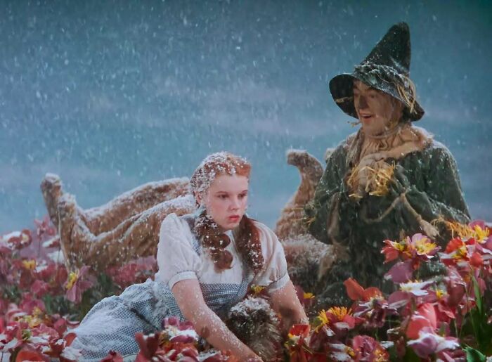Joven Dorothy y el espantapájaros en un campo de flores bajo nieve, foto antigua con contexto histórico visible.