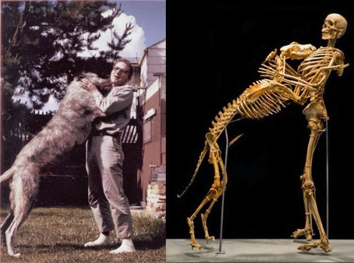 interesting-historical-photos-historycoolkids