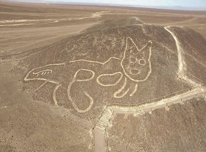Figura de geoglifo de un gato en el desierto, una de las 50 fotos antiguas con contexto histórico poco conocido.
