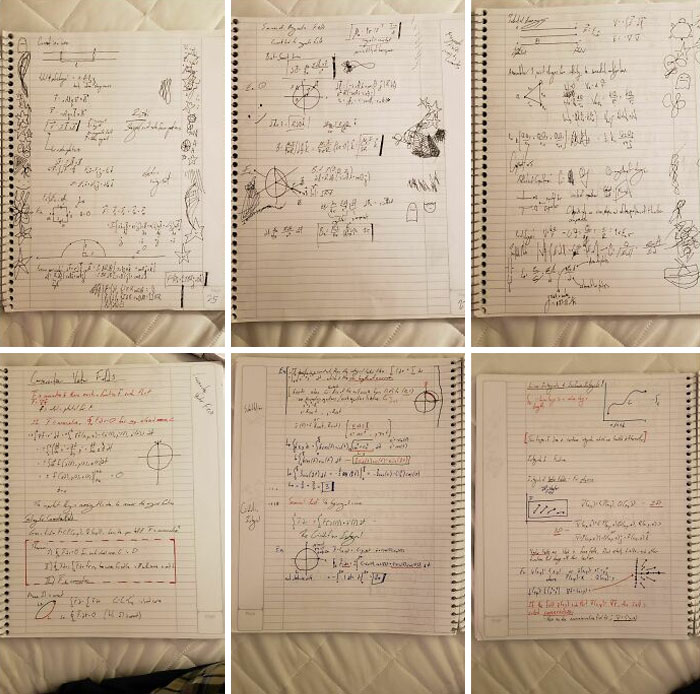 Cuadernos con escritos matemáticos y dibujos que muestran comparaciones y diversidad inesperada en la vida diaria.
