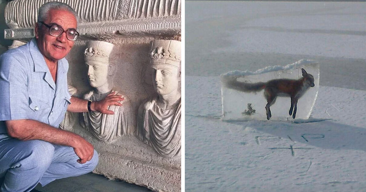 Hombre junto a relieve antiguo y zorro congelado en bloque de hielo, mostrando datos e historias interesantes.