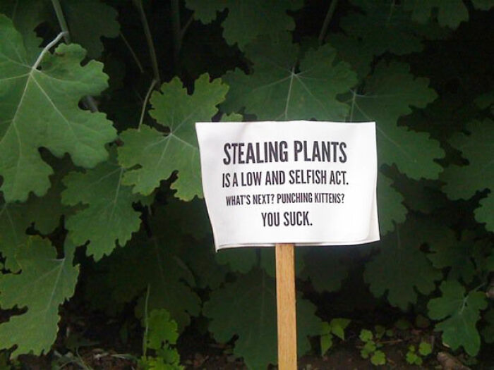 Cartel en jardín con mensaje de vecinos mezquinos sobre el robo de plantas y una nota de advertencia.