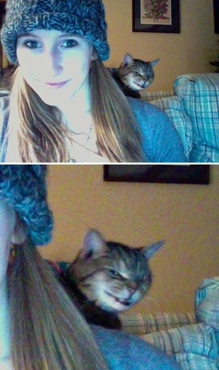 Mujer sonriente con gorro y gato que arruina la foto perfecta robando el foco en momentos divertidos con mascotas.