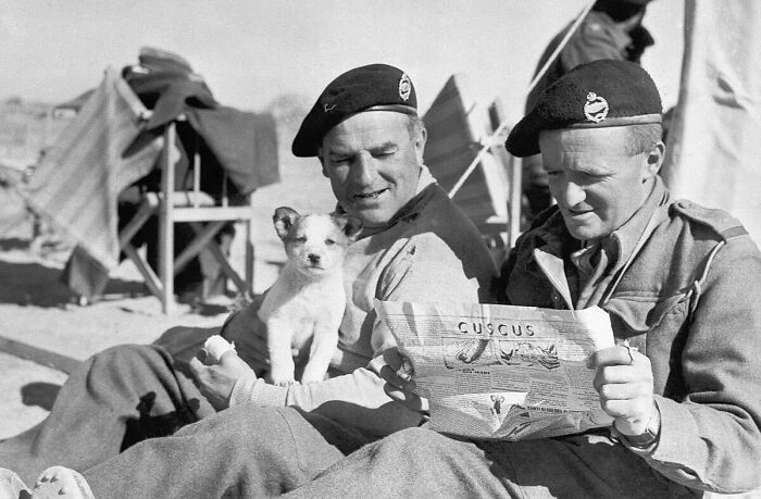 Soldados durante un evento histórico leyendo un periódico con un cachorro en un descanso en el campamento militar. Soldados durante un evento histórico leyendo un periódico con un cachorro en un descanso en el campamento militar.
