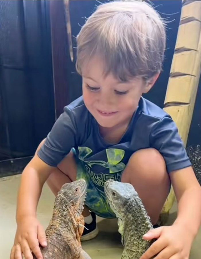 Niño de 6 años interactúa con reptiles en acuario tras el ataque de un pulpo que lo dejó con moretones.