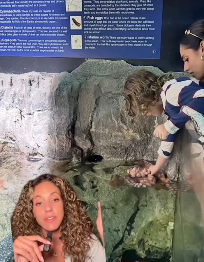Niño tocando pulpo en acuario que lo atacó y cambió de color al verlo nuevamente, mujer observando y explicando el incidente.