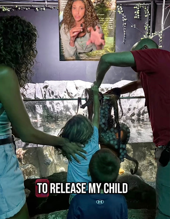 Niño en acuario sosteniendo un tentáculo de pulpo mientras adultos intentan liberar el animal tras el ataque.