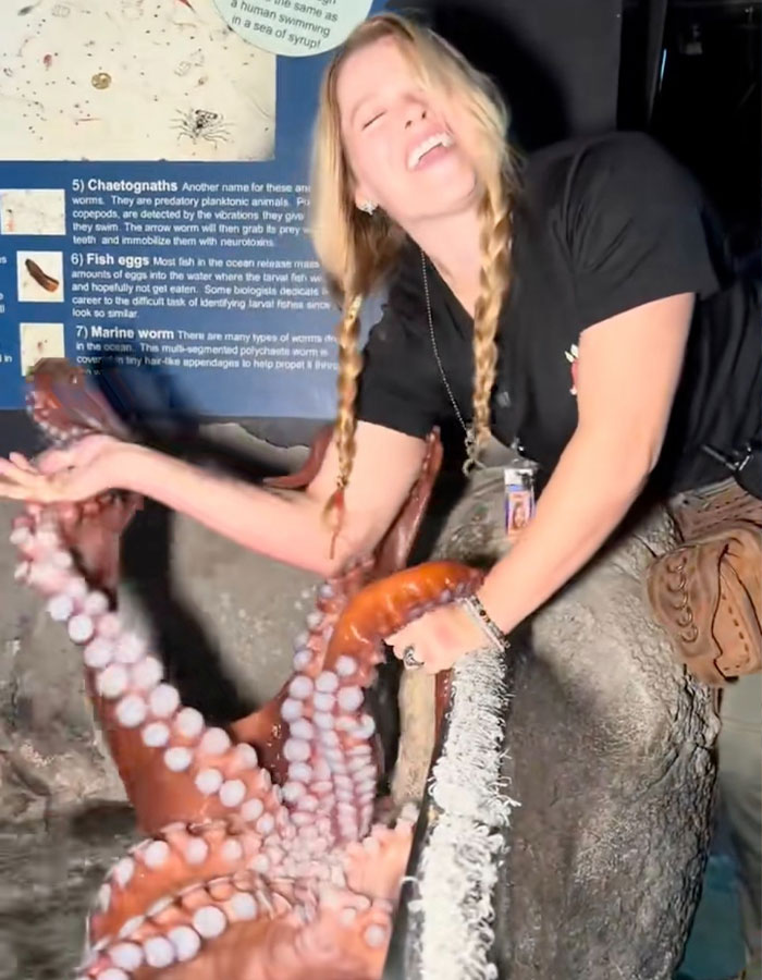 Woman interacting with a large octopus at an aquarium, showing its long tentacles and suction cups up close.